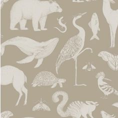 an animal themed wallpaper with various animals