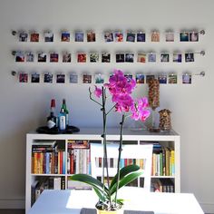 there is a vase with purple flowers on the table in front of bookshelves