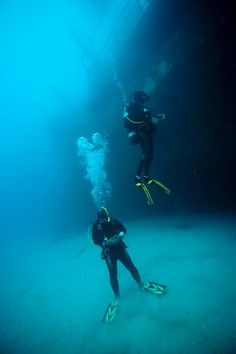 two scuba divers diving in the ocean