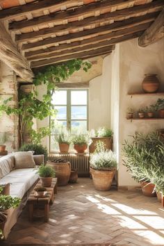 a living room filled with potted plants next to a window