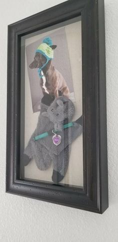 a framed photograph of a dog and two stuffed animals in a frame on the wall