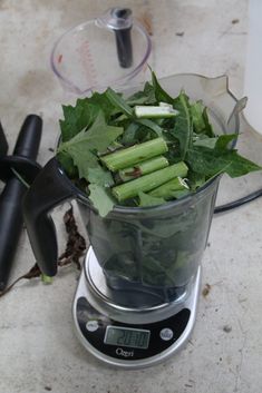 a blender filled with green vegetables on top of a counter