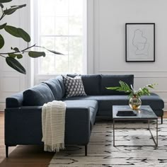 a living room with a couch, coffee table and plants on the floor in front of a window