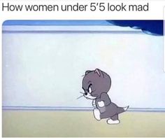 a cartoon cat with the caption saying how women under 5's look mad