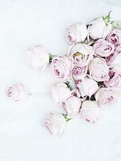 a bunch of pink roses laying on top of a white sheet with the petals still attached