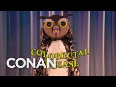 an owl is standing on stage with the words colorectal please in front of it