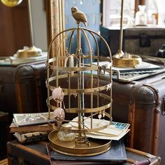 a bird in a cage sitting on top of a table next to suitcases and books