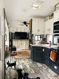 three dogs are standing in the middle of a kitchen with white cabinets and black appliances