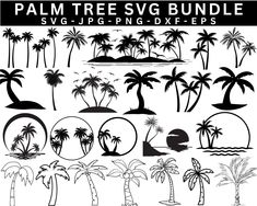 palm tree svt clipart bundle for silhouettes and photoshopped with black and white