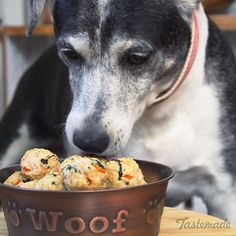 a black and white dog eating food out of a bowl on top of a table