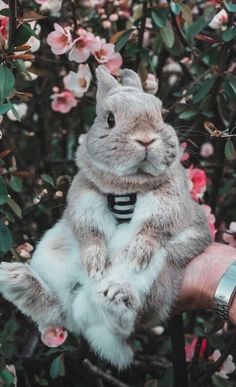 a person holding a stuffed rabbit in front of some pink flowers and trees with it's tail up