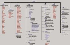 a large family tree with many names and numbers