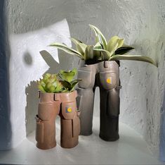 three vases with plants in them sitting on a shelf next to each other,