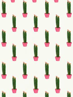 there are many small cactuses with pink letters on them