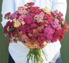 a person holding a bouquet of flowers in their hands and wearing a white button up shirt