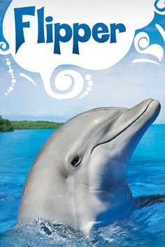 a book cover with a dolphin swimming in the water and an advertisement for flipper