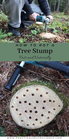 a man is using a drill to cut up a tree stump in the woods with text overlay that reads how to start a tree stump