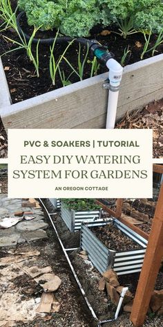 an easy diy watering system for garden plants and other things to do in the backyard