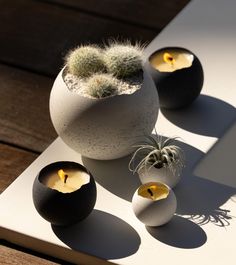 three vases with plants in them sitting on a table