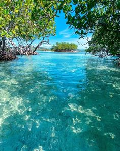 the water is crystal blue and there are trees in the distance on the other side