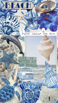 a collage of blue and white sea life