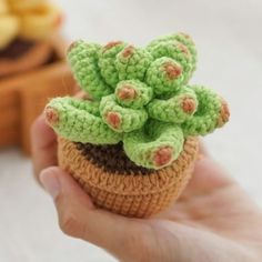 small crocheted potted plant sitting in someone's hand