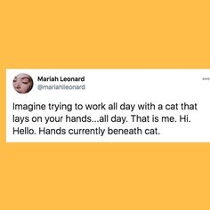 a tweet with the caption imagine trying to work all day with a cat that lays on your hands