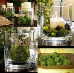 several pictures of different vases with plants and candles in them, including one being filled with moss