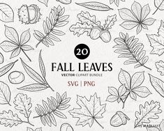 fall leaves and acorns clipart bundle for svg, dxf