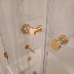 the shower door is glass and has gold handles