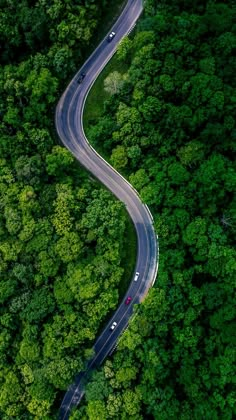 an aerial view of a winding road in the middle of a forest with cars driving on it