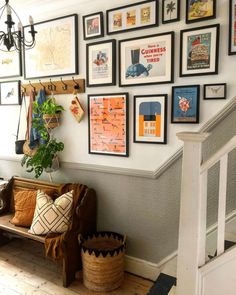 a bunch of framed pictures on the wall next to a wooden bench with a plant in it