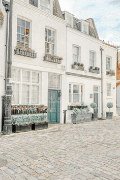 a white building with lots of windows and plants on the side walk in front of it