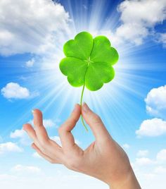 a person's hand holding a four leaf clover in front of a blue sky