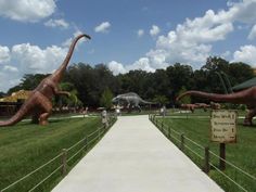 the dinosaurs are on display in the park for people to see and do their own activities