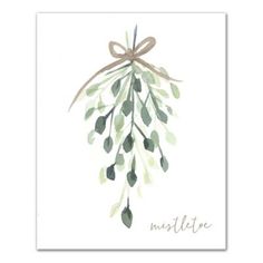 a greeting card with an olive branch tied to it's side and the words, mittele