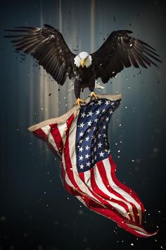 an eagle is perched on top of the american flag with rain drops falling from its wings