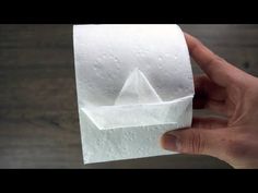 a hand holding a roll of toilet paper