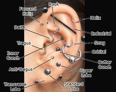 an ear with different types of piercings labeled in the middle and below it is shown