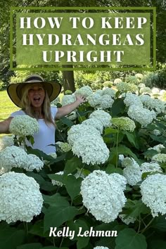 a woman wearing a hat standing in a garden with white hydrants and the words how to keep hydrangeas upright