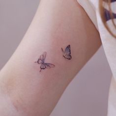 two small butterflies on the arm