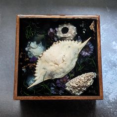 a sea horse in a wooden box with flowers