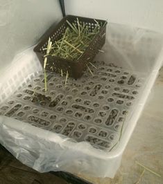 a plastic container filled with plants and grass