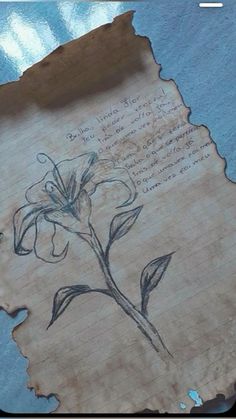 an old piece of paper with a flower drawn on it and some writing in the background