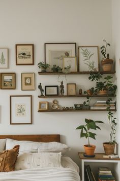 a bedroom with white walls and lots of plants on the shelves above the headboard