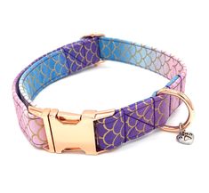 a purple and blue dog collar with gold hardware