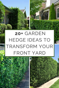 Collage of front yard garden hedges showing various hedge design ideas for home landscaping to inspire a front yard transformation. Hedge Ideas Front Yards, Hedge Garden Ideas, Boxwood Hedge Front Yard, Hedges In Front Of House, Garden Parasol Ideas, Front Yard Hedges, Hedge Garden Design