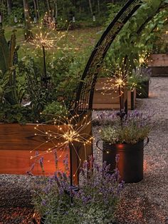 an assortment of plants and lights in metal planters on gravel area next to trees