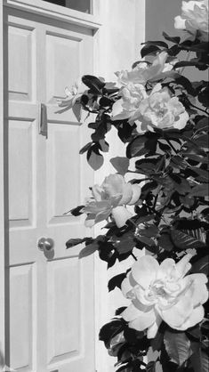 black and white photograph of flowers in front of an open door