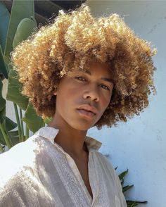 Blond Afro Hair Black Women, Afro Hair Inspiration, Psl Gods, Ringlets Hair, Natural Hair Men, Blonde Afro, Pixie Haircut Ideas